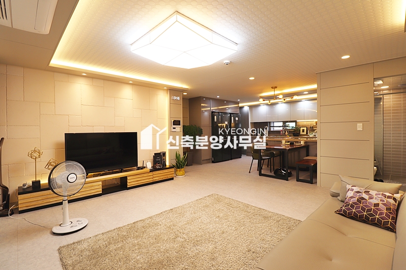 경기 파주시 야당동 태종에비뉴 [ 3룸 . 4룸 . 테라스 . 복층 Type ] 분양 매물번호 10191 사진 5