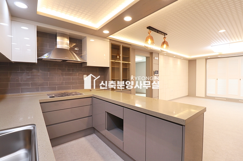경기 파주시 야당동 태종에비뉴 [ 3룸 . 4룸 . 테라스 . 복층 Type ] 분양 매물번호 10191 사진 47