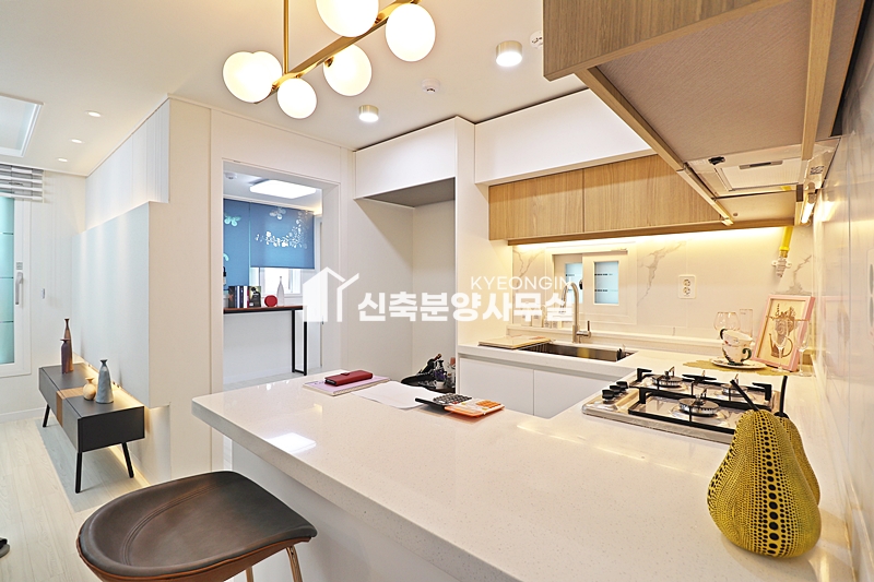 경기 안양만안구 박달동 다뉴브 [ 2룸 . 3룸 . 테라스 Type ] 분양 매물번호 13030 사진 6