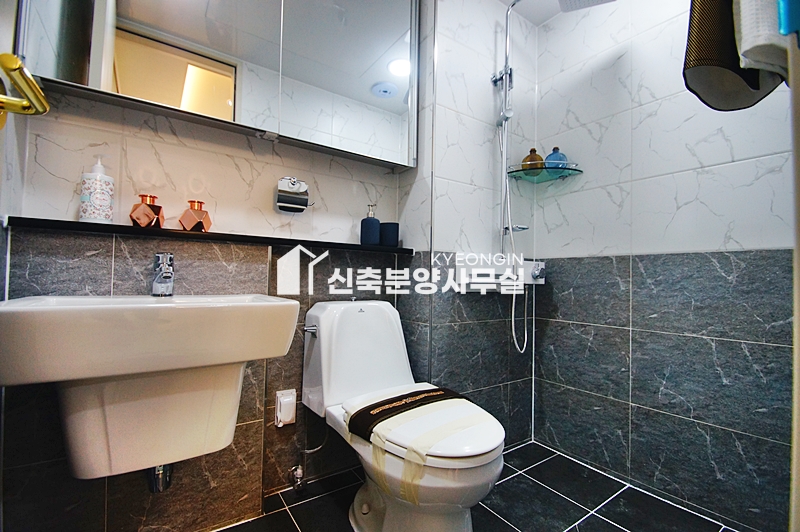 인천 부평구 청천동 무한퍼스티지 [ A . B Type ] 분양 매물번호 11832 사진 15