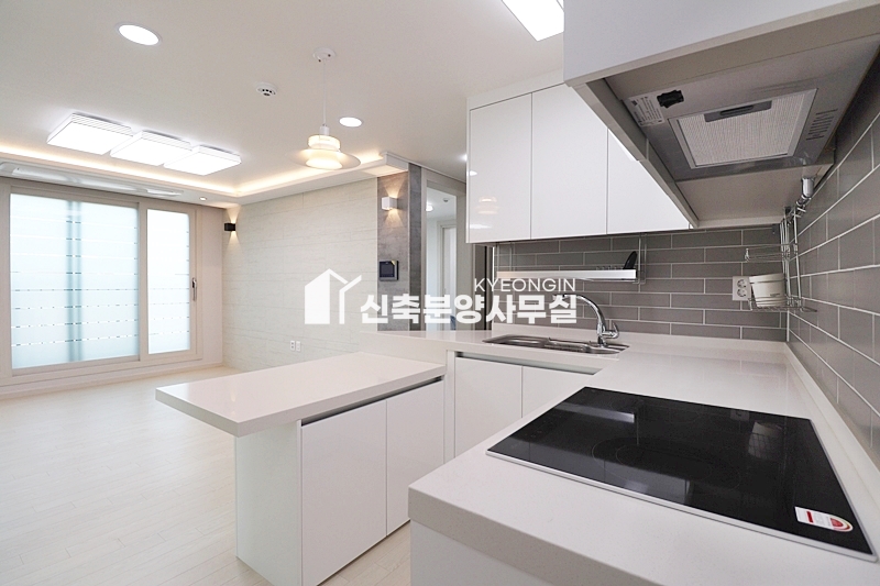 경기 고양일산서구 일산동 씨티뷰 [ 2룸 . 3룸 . 테라스 Type ] 분양 매물번호 10088 사진 26