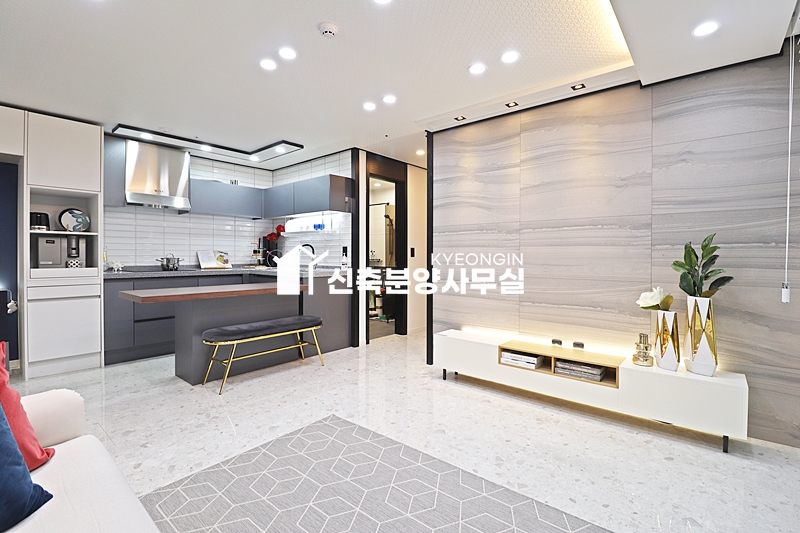 경기 김포시 고촌읍 신곡리 더 모스트 [ A . B Type ] 분양 매물번호 12936 사진 6