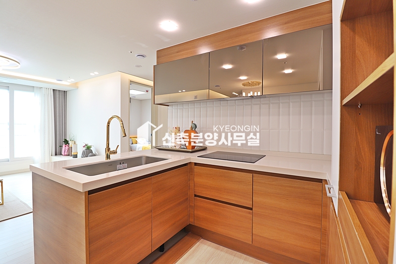 경기 안산상록구 본오동 라비앙힐스 [ 3룸 . 테라스 Type ] 분양 매물번호 14202 사진 11