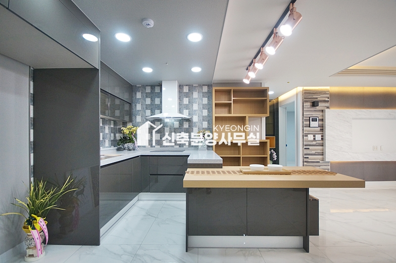 경기 안산단원구 와동 트리플카운티 [ 3룸 . 테라스 Type ] 분양 매물번호 14206 사진 9