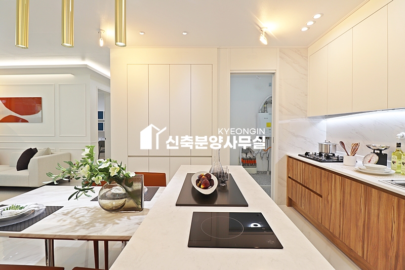 경기 파주시 야당동 스카이삼성캐슬 10차 [ 3룸 . 4룸 . 복층 . 테라스 Type ] 분양 매물번호 13230 사진 13
