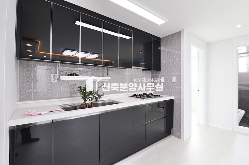 경기 파주시 금촌동 스카이캐슬 [ 2룸 . 3룸 . 테라스 Type ] 분양 매물번호 12055 사진 24