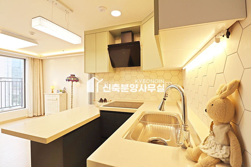 인천 남동구 구월동 캐슬베리 [ A . B Type ] 분양 매물번호 11602 사진 25