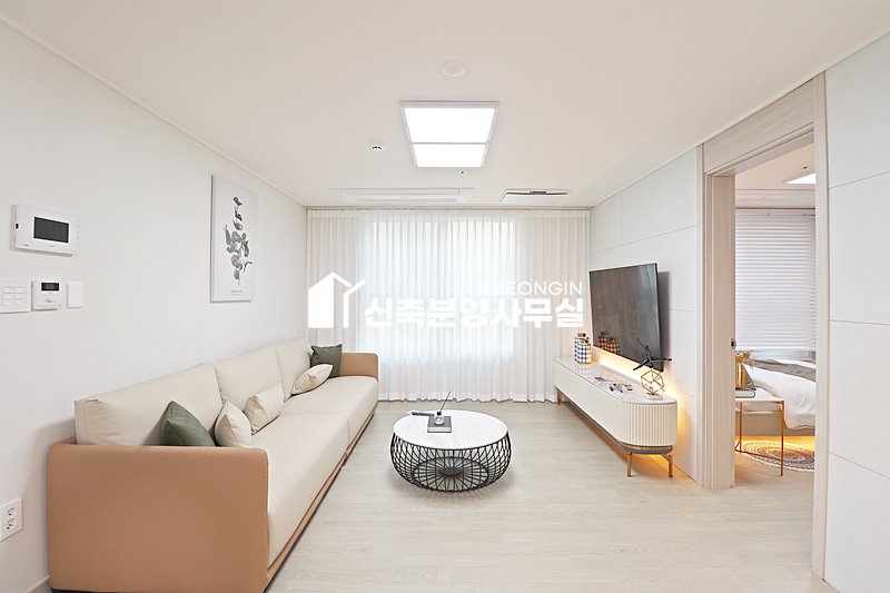 인천 서해구 석남동 더 스타뷰 [ 1.5룸 . 2룸 . 3룸 Type ] 분양 매물번호 15387 사진 2
