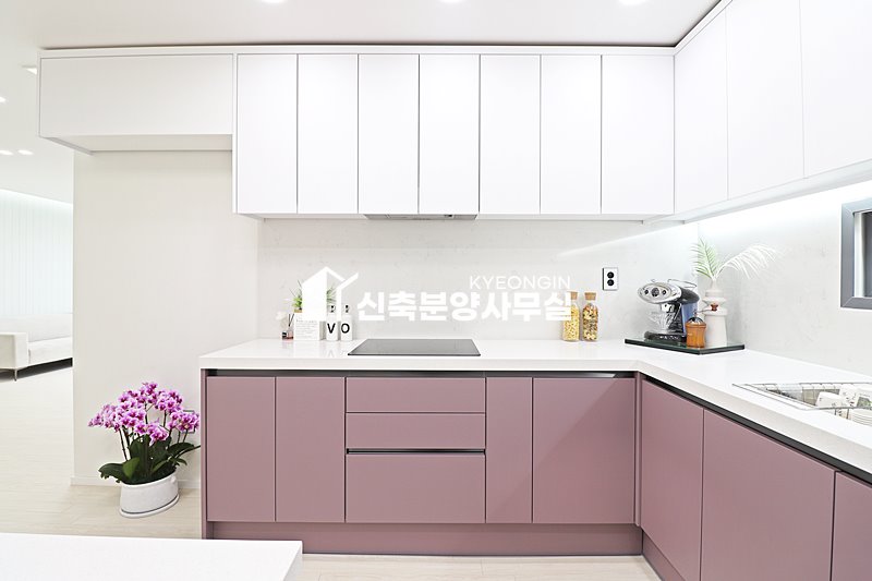 경기 안산상록구 본오동 드림펠리스 [ 2룸 . 3룸 . 테라스 . 복층 Type ] 분양 매물번호 15169 사진 10