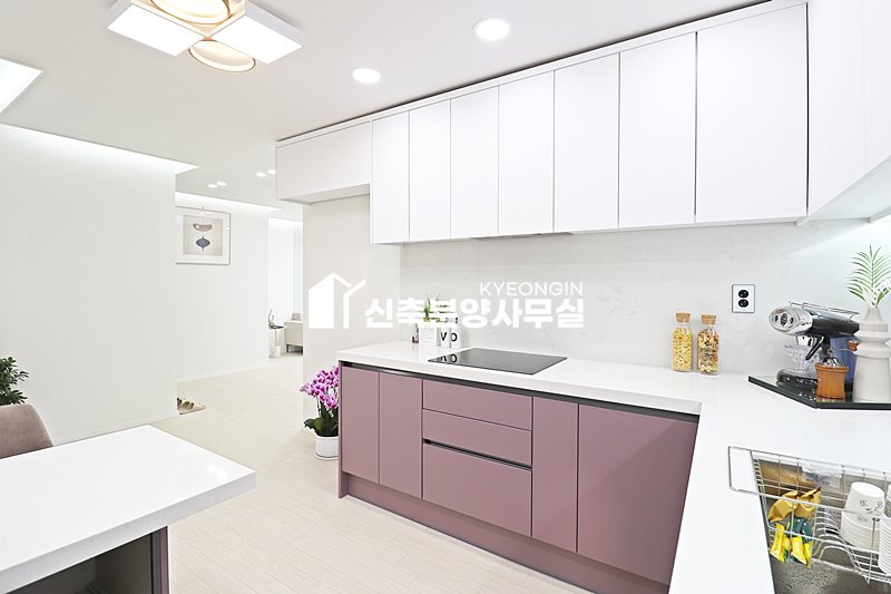 경기 안산상록구 본오동 드림펠리스 [ 2룸 . 3룸 . 테라스 . 복층 Type ] 분양 매물번호 15169 사진 11