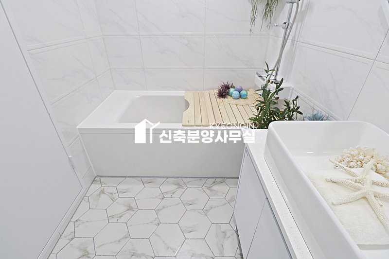 경기 파주시 상지석동 라엘하우스 [ 3룸 . 4룸 . 테라스 . 복층 Type ] 분양 매물번호 15121 사진 21
