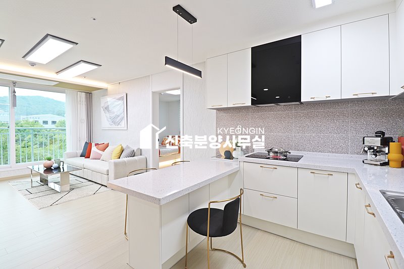 경기 김포시 양촌읍 학운리 더웰팰리스 [ 3룸 . 테라스 Type ] 분양 매물번호 15055 사진 12