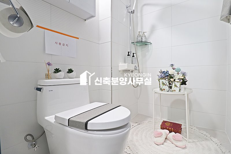 경기 파주시 파주읍 봉서리 아리움 5차 [ 3룸 . 테라스 . 복층 Type ] 분양 매물번호 14878 사진 12