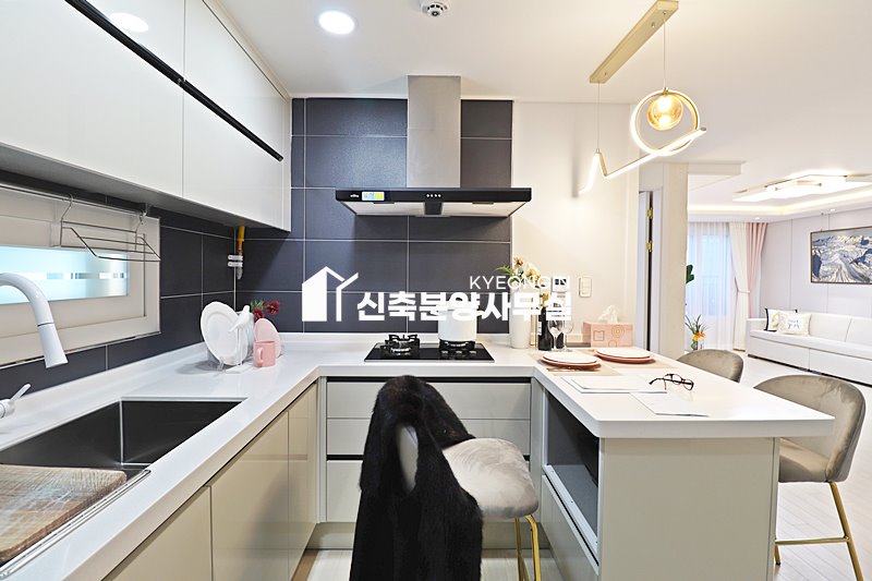 경기 안산상록구 부곡동 더존팰리스 [ 3룸 . 테라스 . 복층 Type ] 분양 매물번호 14768 사진 8