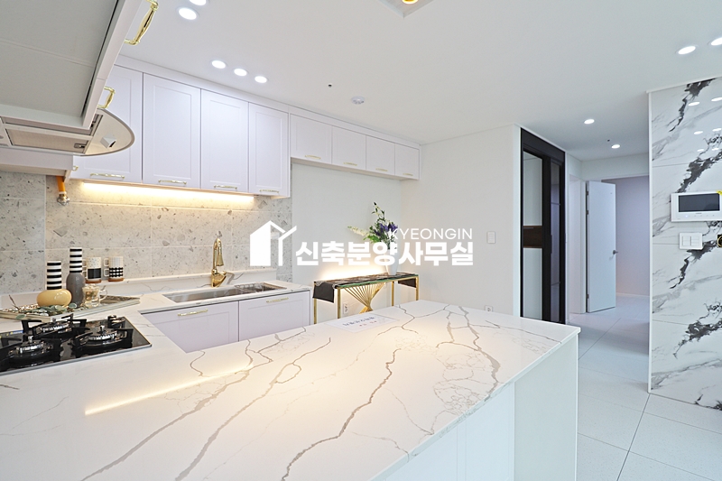 인천 부평구 십정동 트라시움 분양 매물번호 14618 사진 43