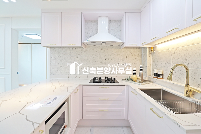 인천 부평구 십정동 트라시움 분양 매물번호 14618 사진 46