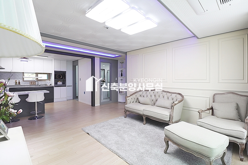 경기 고양일산서구 덕이동 스카이캐슬 [ 3룸 . 테라스 Type ] 분양 매물번호 10127 사진 5