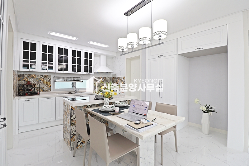 경기 고양일산동구 풍동 스카이삼성캐슬 9차 [ 3룸 . 테라스 . 복층 Type ] 분양 매물번호 12043 사진 9
