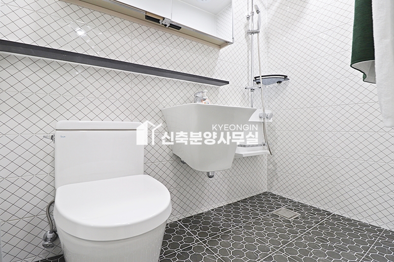 경기 고양일산동구 풍동 스카이삼성캐슬 9차 [ 3룸 . 테라스 . 복층 Type ] 분양 매물번호 12043 사진 17